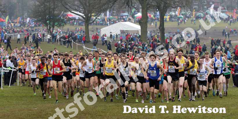 Start of the senior mens McCain World Cross Country Trials and Inter Counties, Cofton Park, Birmingham.